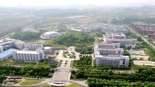 公开信息按发布时间滚动